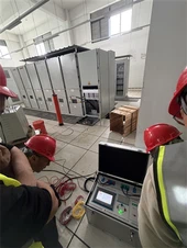 Manager Li Of Goldhome Visits Yangjie Technolog...